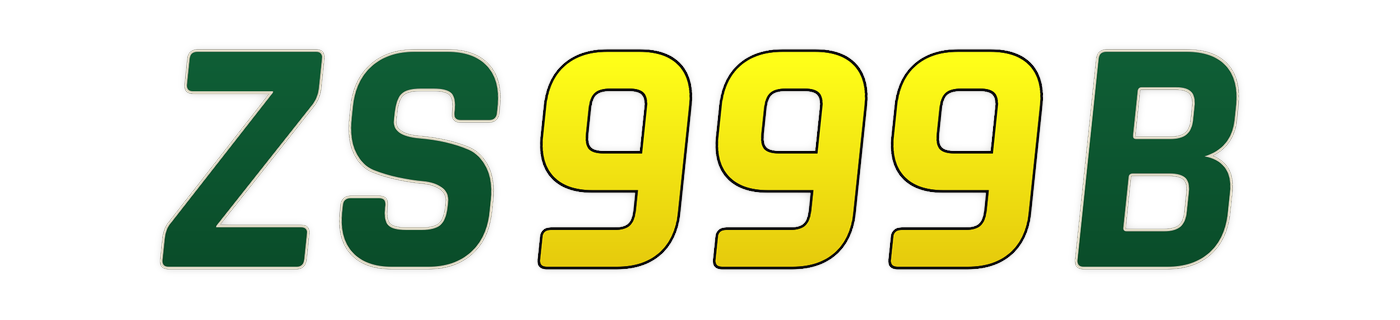 zs999b
